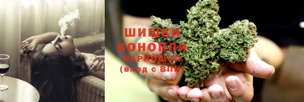 спайс Богданович