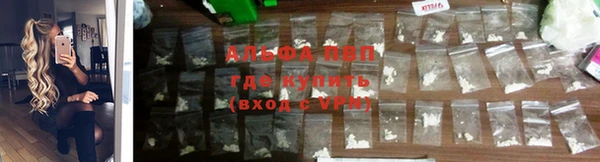 спайс Богданович