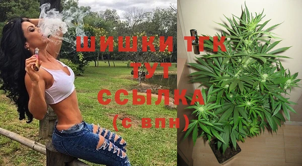 Альфа ПВП Белокуриха