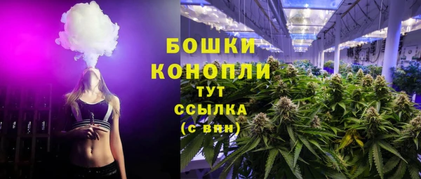 спайс Богданович