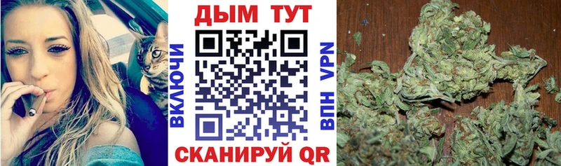 купить сайты Демидов Канабис SATIVA & INDICA